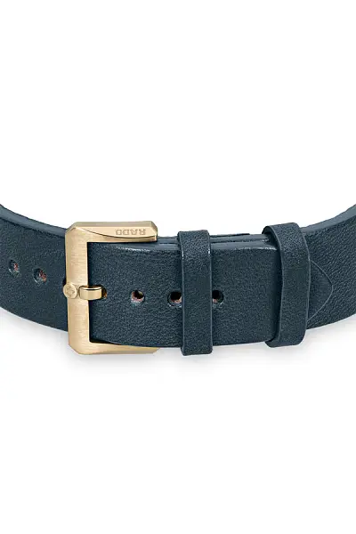 Rado Captain Cook Automatik Bronze R32504205