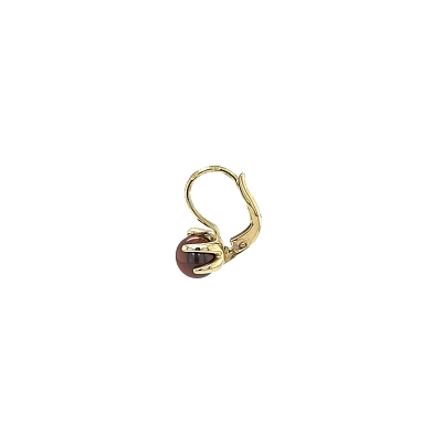 Gold-Ohrringe Braun Perle