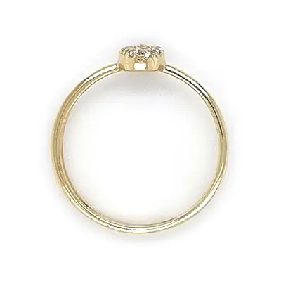 Goldring mit Zirkonen