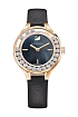 Swarovski Liebliche Kristalle Mini 5301877