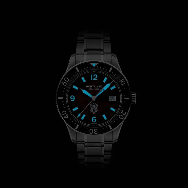 Montblanc Eismeer Automatik Datum 132291