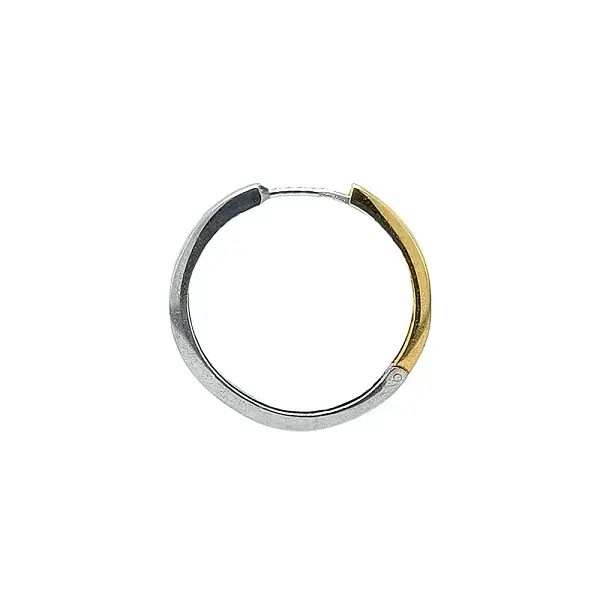 Elegante Creolen aus Bicolor-Gold