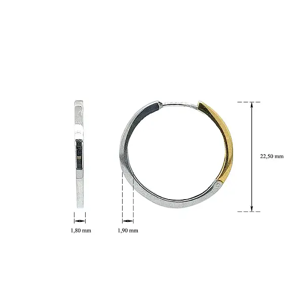 Elegante Creolen aus Bicolor-Gold