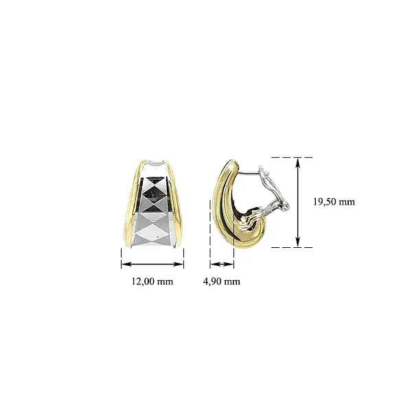 Ohrringe aus Kombinationsgold