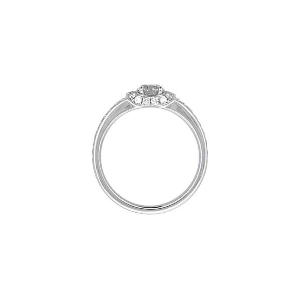 Goldring mit Diamanten