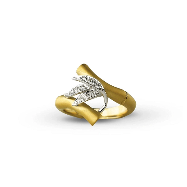 Goldring Carrera y Carrera Zen Medium