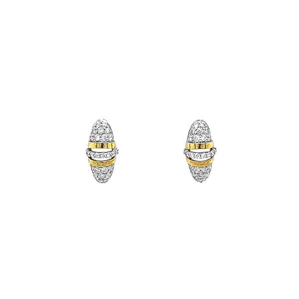 Gold-Ohrringe mit Diamanten