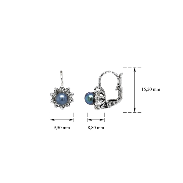 Ohrringe mit schwarzer Perle und Zirkonen