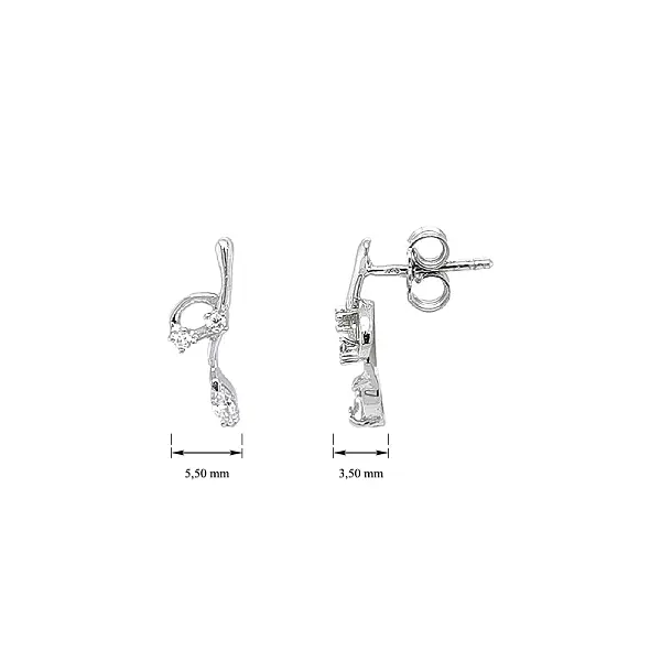 Glänzende Ohrringe mit kristallinen Schönheitszirkonen