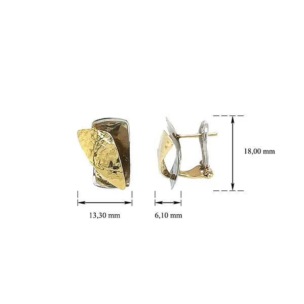 Ohrringe aus Kombinationsgold