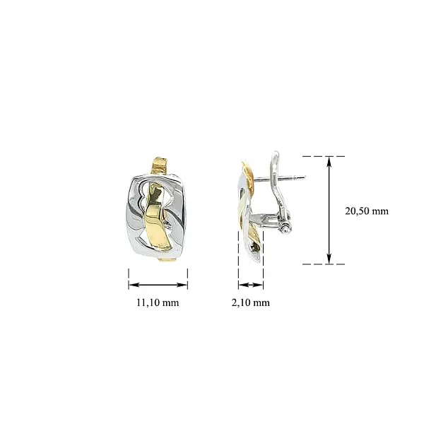 Ohrringe aus Kombinationsgold
