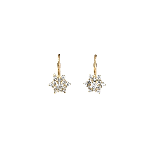 Gold-Ohrringe mit Zirkonen