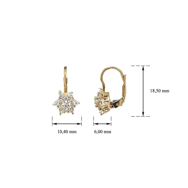 Gold-Ohrringe mit Zirkonen