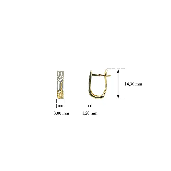 Ohrringe aus Kombinationsgold