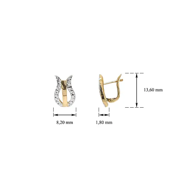 Ohrringe aus Kombinationsgold