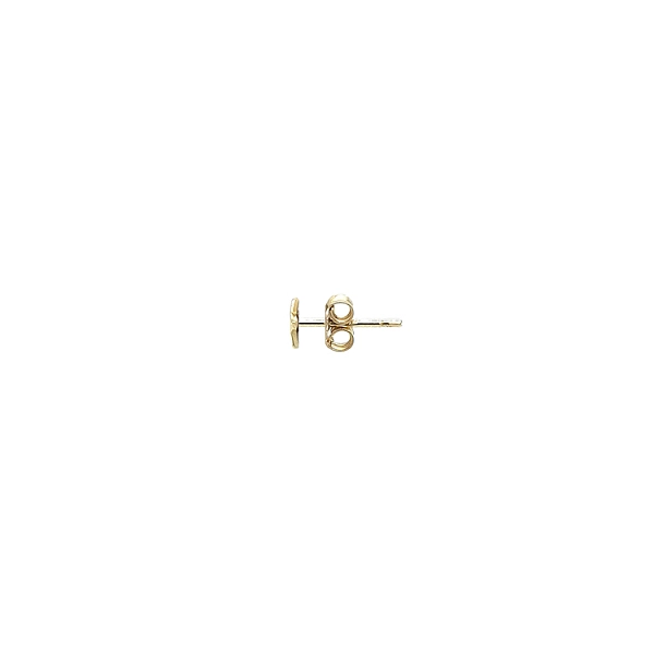 Gold-Ohrringe Seestern