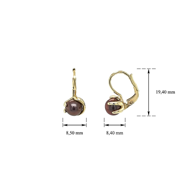 Gold-Ohrringe Braun Perle