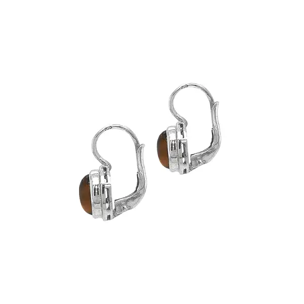 Gold-Ohrringe mit Tigerauge