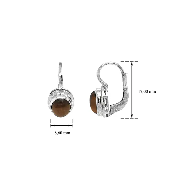 Gold-Ohrringe mit Tigerauge