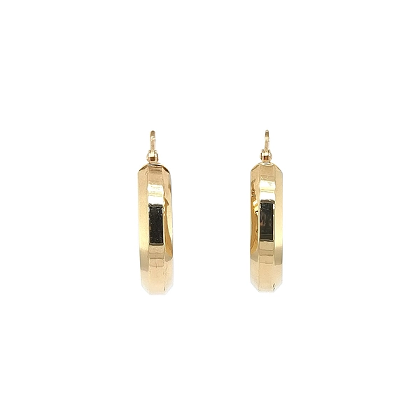 Elegante Creolen aus Gelbgold