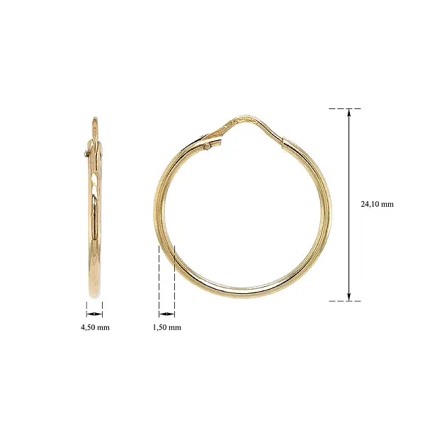 Elegante und zeitlose runde Ohrringe in Gold