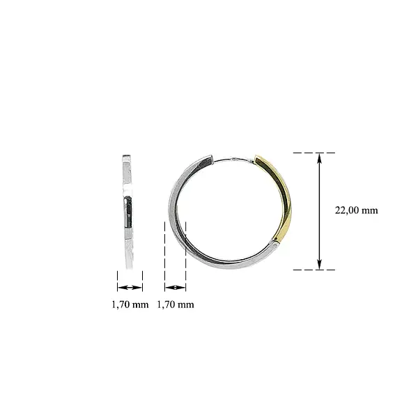 Runde Ohrringe aus Kombinationsgold