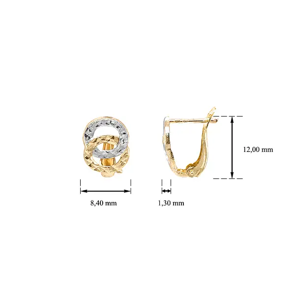 Ohrringe aus Kombinationsgold