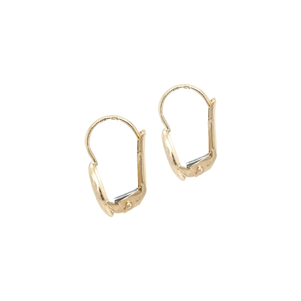 Gold-Ohrringe
