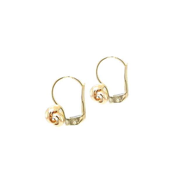 Gold-Ohrringe