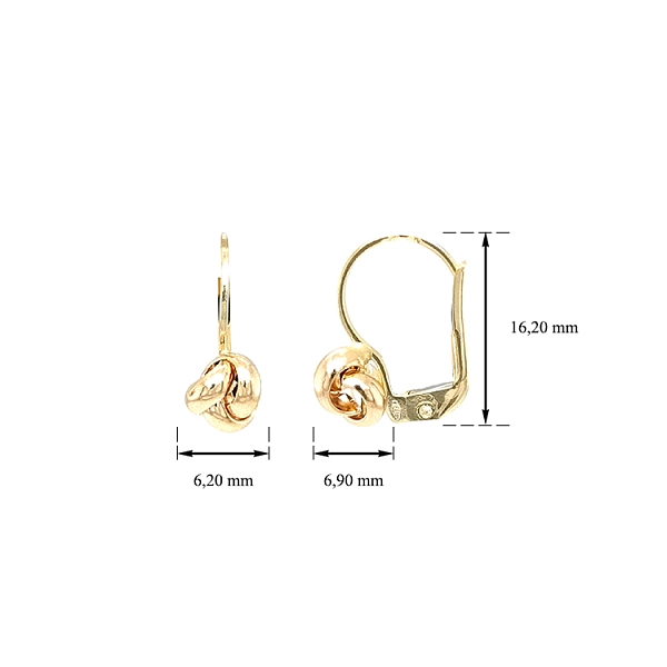 Gold-Ohrringe