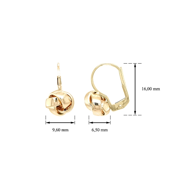 Gold-Ohrringe
