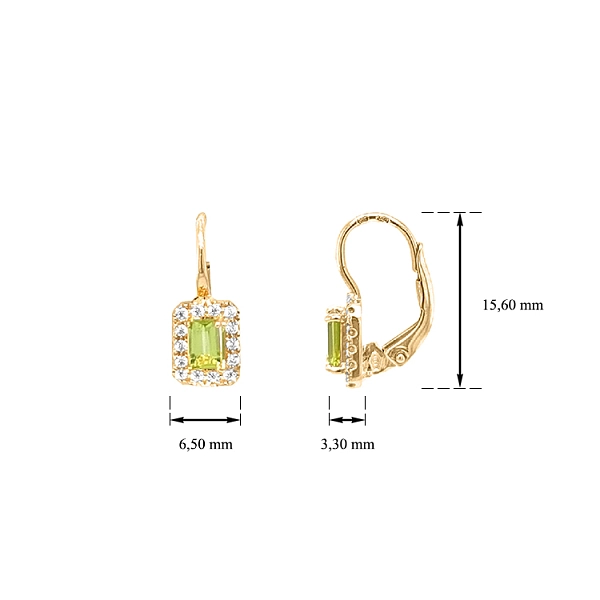 Gold-Ohrringe mit Zirkonen