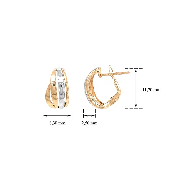 Ohrringe aus Kombinationsgold