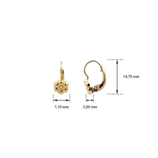 Gold-Ohrringe Blumen