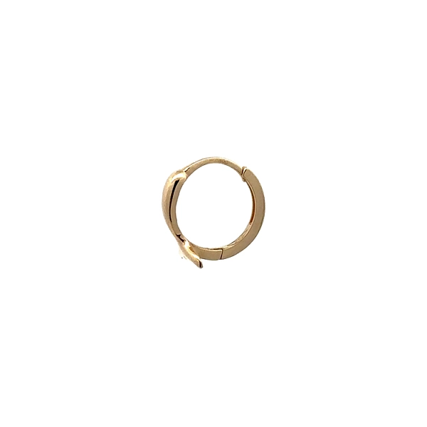 Gold Runde Delphin-Ohrringe