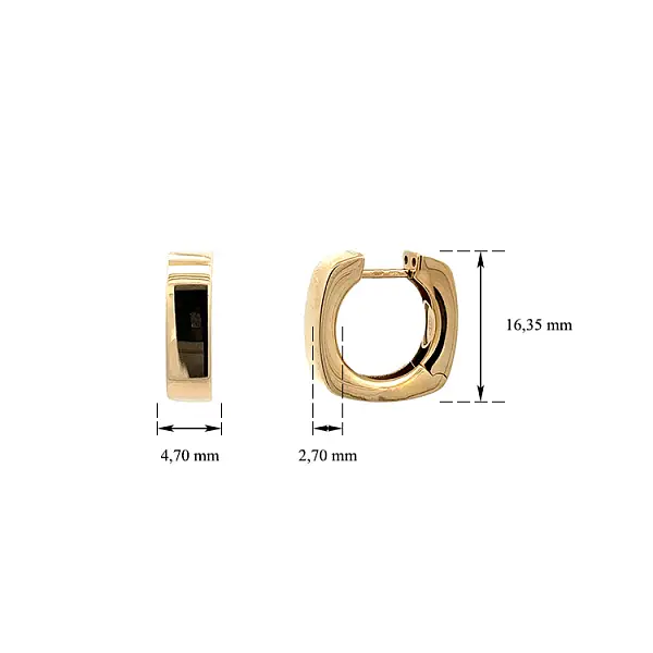 Elegante runde Ohrringe mit schimmerndem Glanz