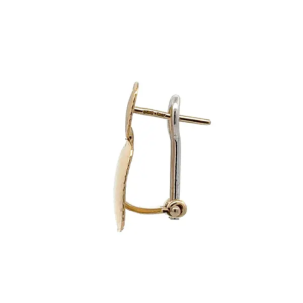 Ohrringe aus Kombinationsgold