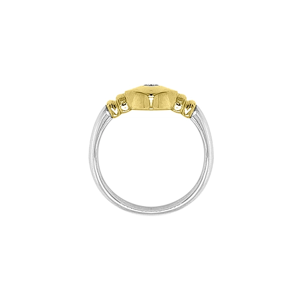 Goldring mit Zirkon aus kombiniertem Gold