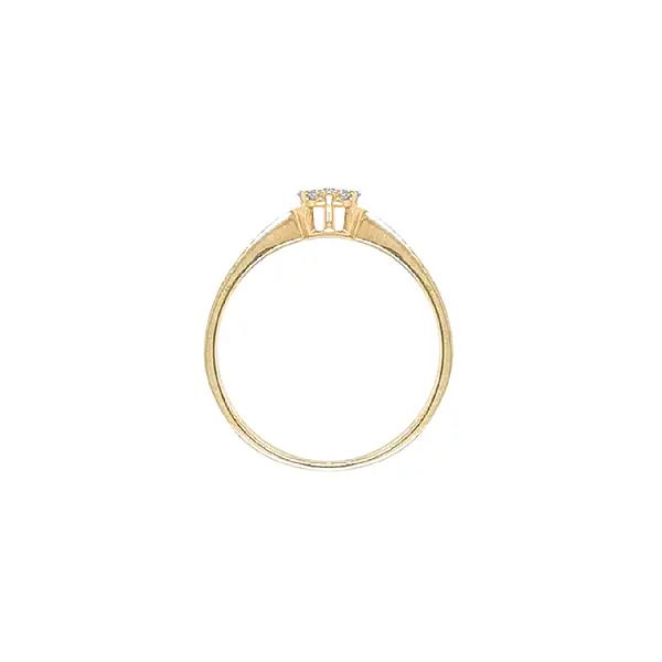 Goldring mit Zirkonen