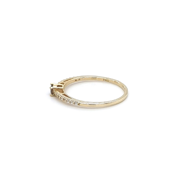 Goldring mit Záhněda und Zirkony