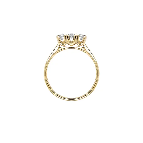 Goldring mit Zirkonen