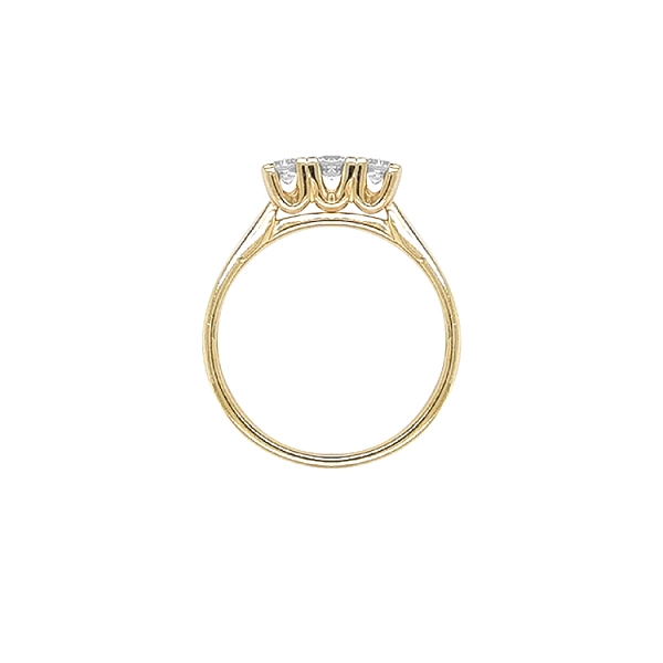 Goldring mit Zirkonen