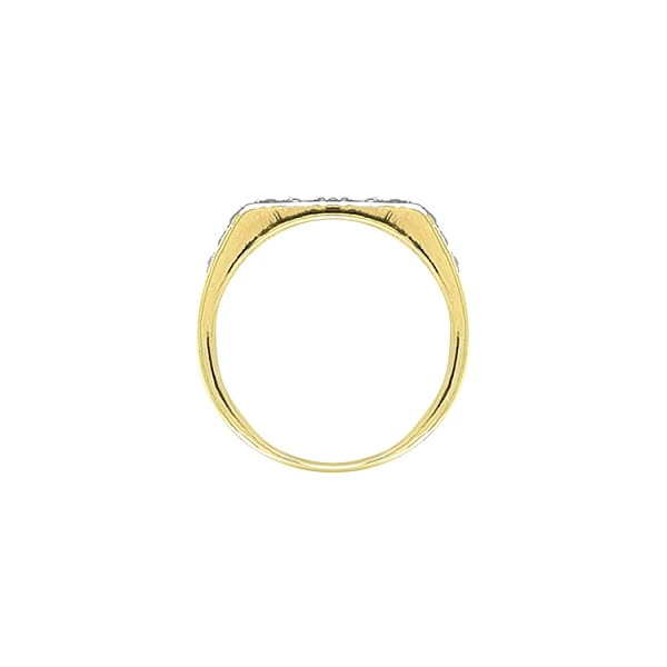 Goldring mit Zirkonen