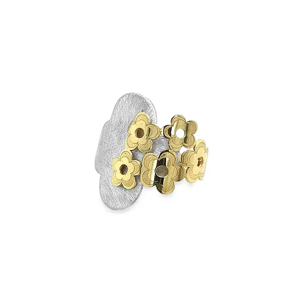 Kombination Goldring