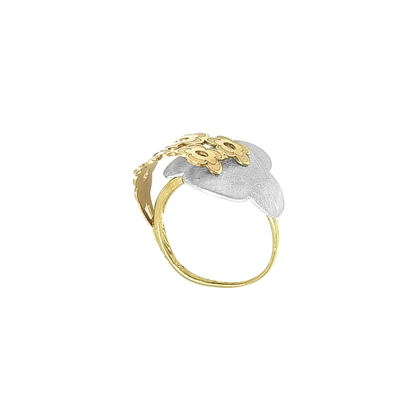 Kombination Goldring