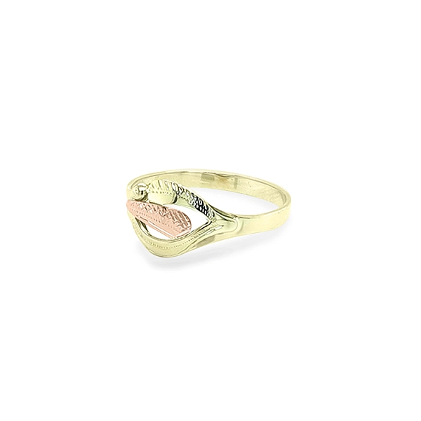Goldring aus Kombinationsgold