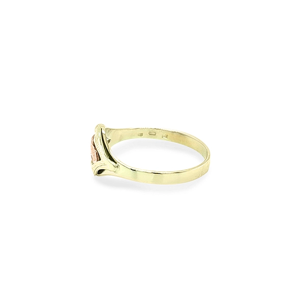 Goldring aus Kombinationsgold