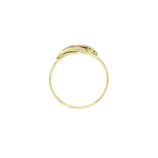 Goldring aus Kombinationsgold