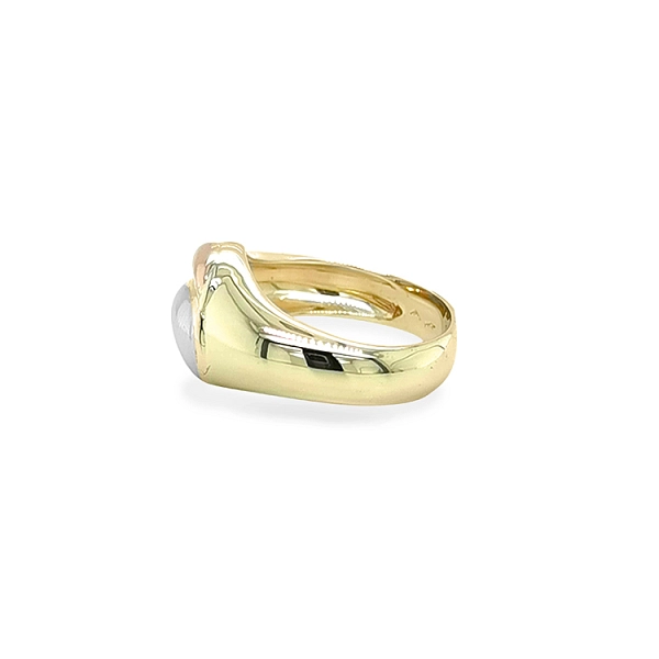 Goldring aus Kombinationsgold