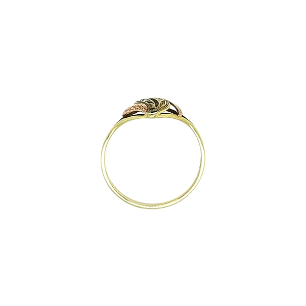 Ring aus Mischgold